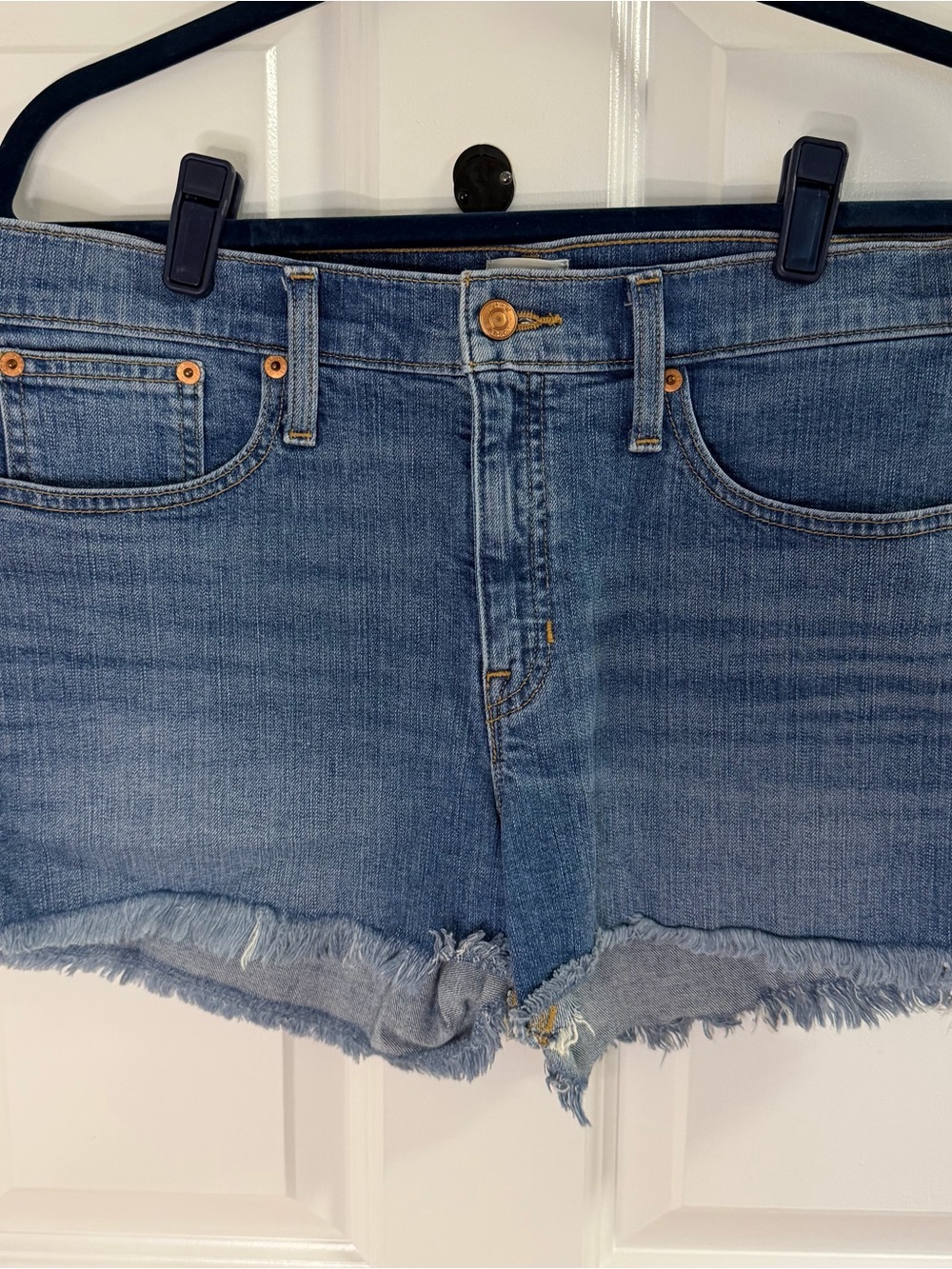 J. Crew Denim Shorts 29